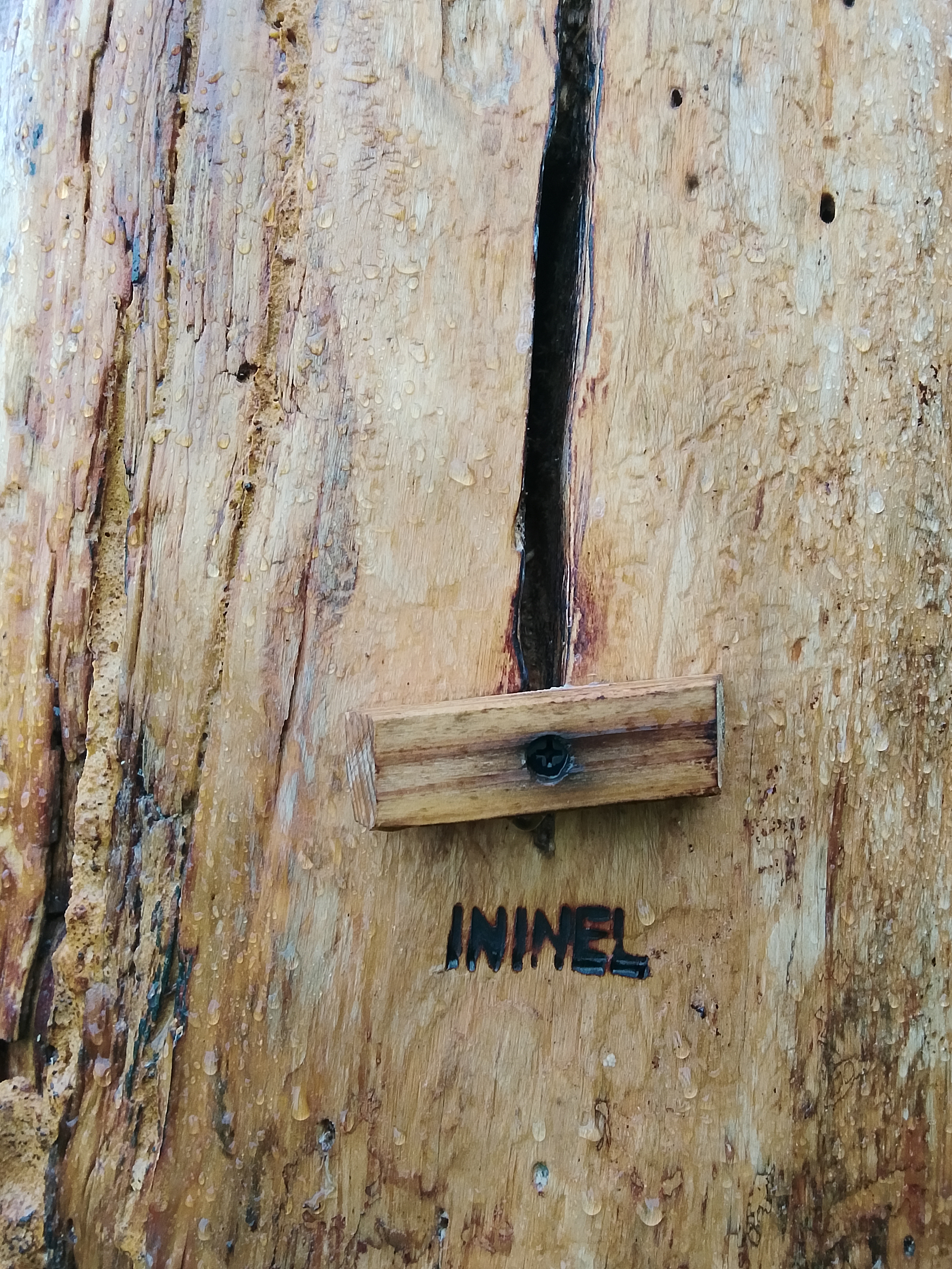 Колода для пчел ININEL