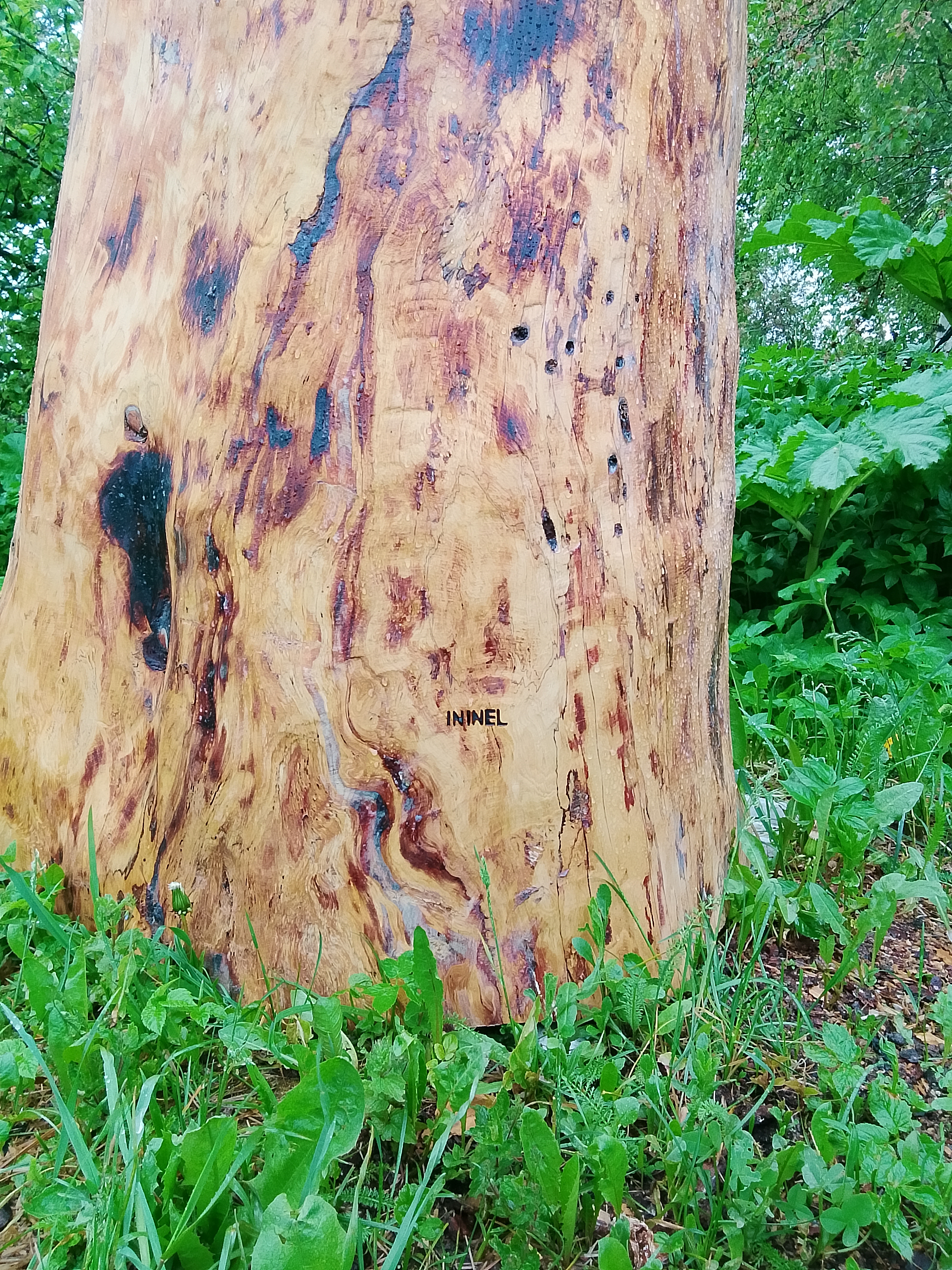 Колода для пчел