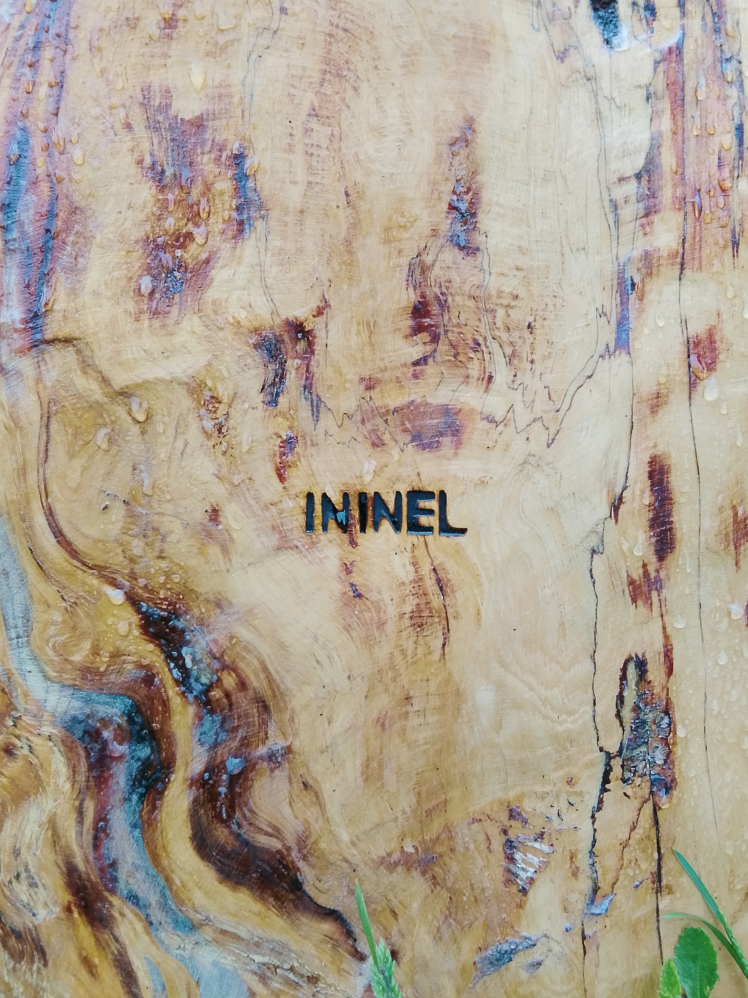 Колода для пчел ININEL