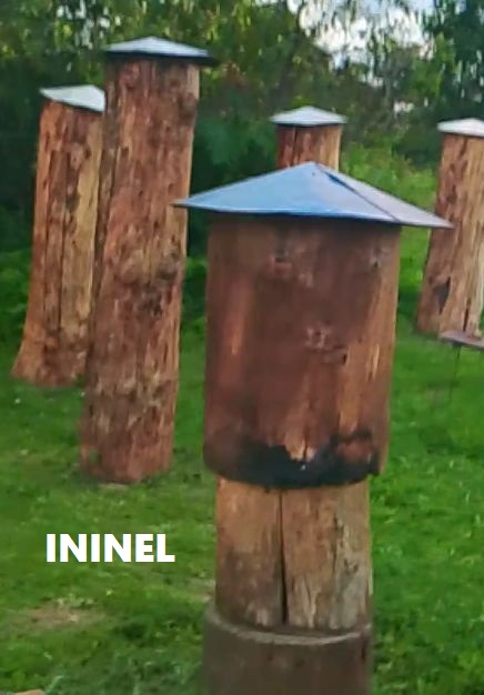 ININEL